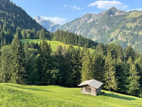 Serene alpine meadow